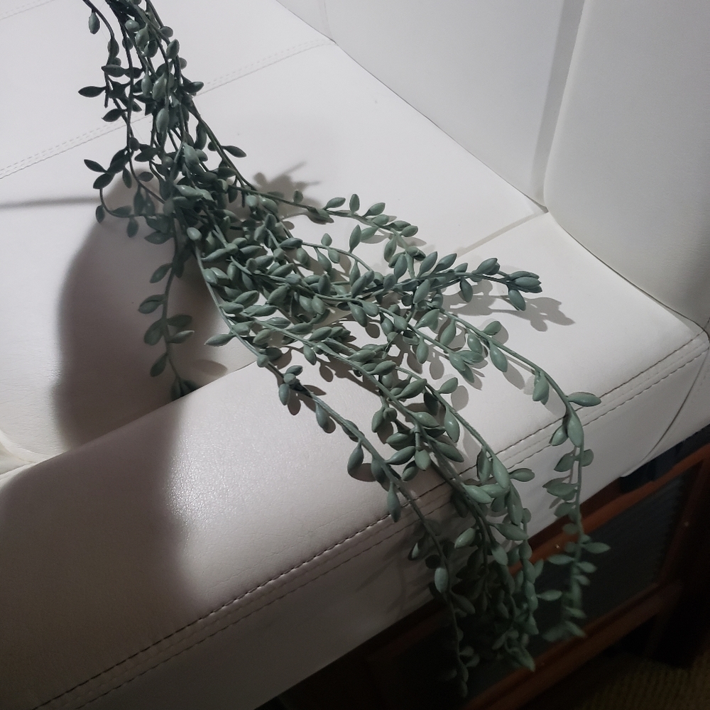 NWT Pottery Barn Faux Trailing Succulent Plant